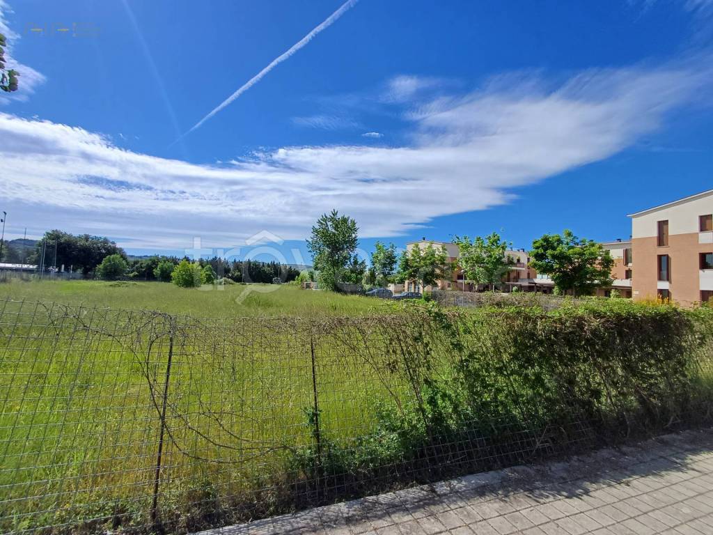 immagine annuncio 2 di 3