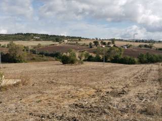 Terreno agricolo in vendita a benevento contrada san chirico