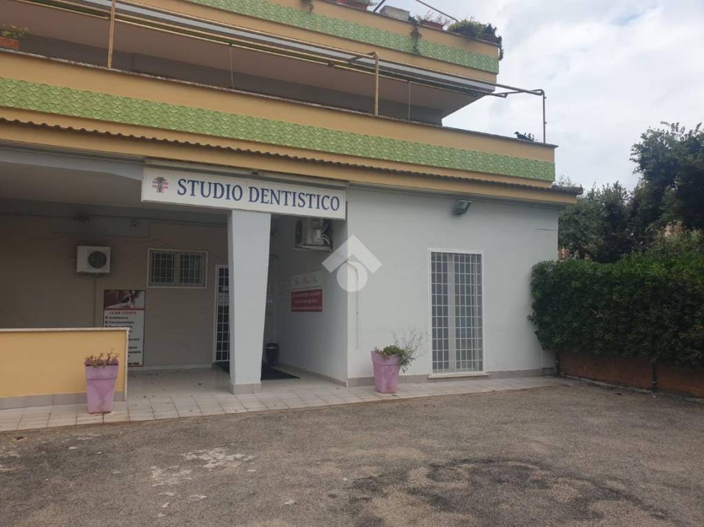 immagine annuncio 4 di 6