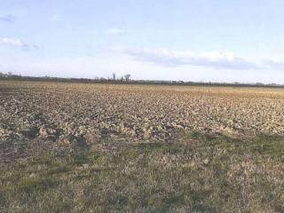 Terreno agricolo in vendita a crespino via selva