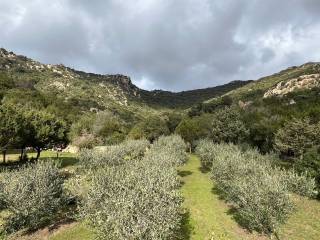 Villa in vendita ad arzachena strada provinciale arzachena-porto cervo