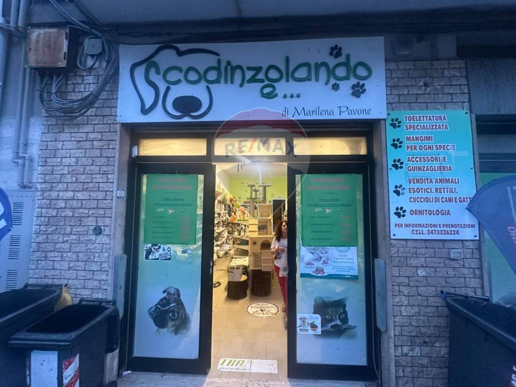 immagine annuncio 11 di 12