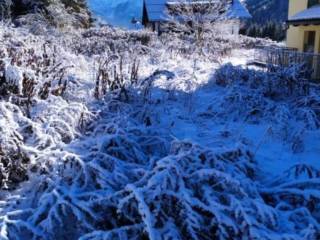 Appartamento all'asta ad auronzo di cadore via pause