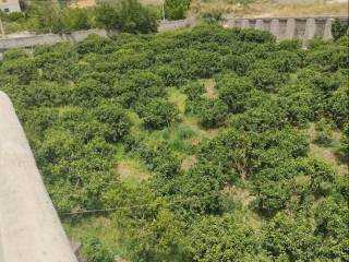 Terreno agricolo in vendita a reggio di calabria via oliveto, 71