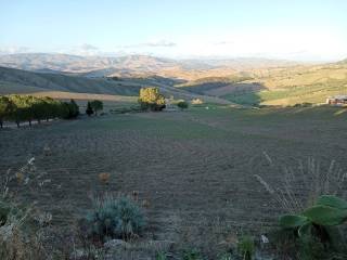 Terreno agricolo in vendita a san cataldo contrada tabita