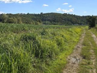 Terreno agricolo in vendita a vicenza strada di gogna