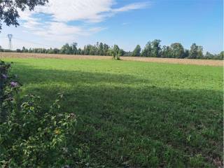 Terreno agricolo in vendita a montebelluna sant'anna