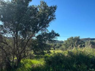 Terreno residenziale in vendita a catanzaro 