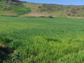 Terreno agricolo in vendita a leonforte contrada mistri, snc