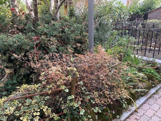 immagine annuncio 12 di 13