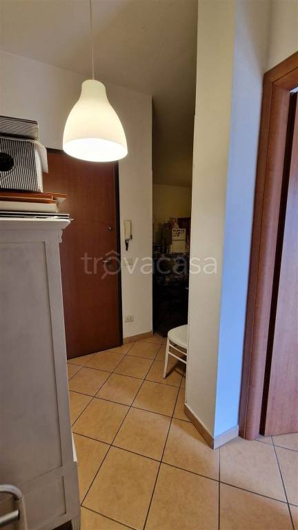 immagine annuncio 3 di 14