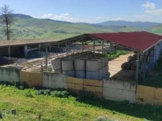 Terreno agricolo in vendita a leonforte contrada mistri, snc