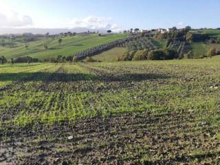 Terreno agricolo in vendita a circello contrada macchia