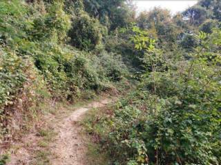 Terreno agricolo in vendita a pradalunga via monte bastia