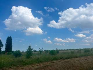 Terreno agricolo in vendita a boara pisani via fontane, 48