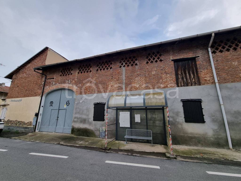 immagine annuncio 10 di 15