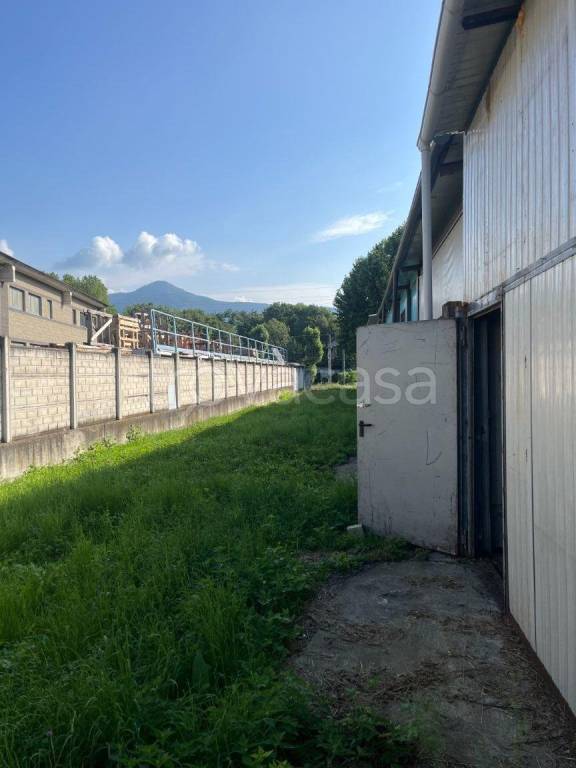 immagine annuncio 2 di 14