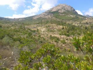 Terreno agricolo in vendita a berchidda 