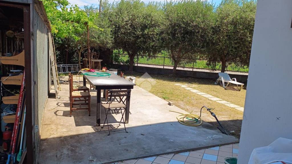 immagine annuncio 9 di 12