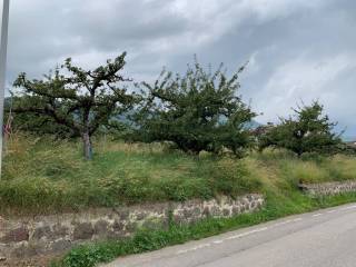 Terreno residenziale in vendita a ville d'anaunia 