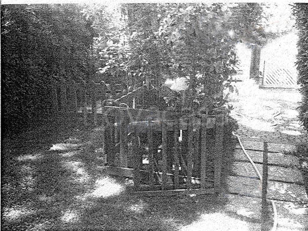 immagine annuncio 3 di 10