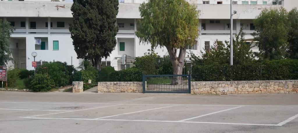 immagine annuncio 6 di 13