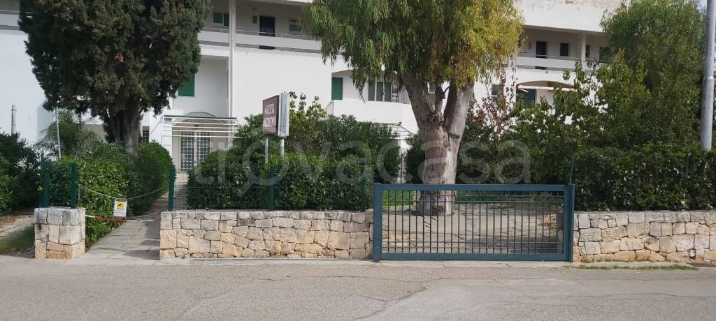 immagine annuncio 9 di 13