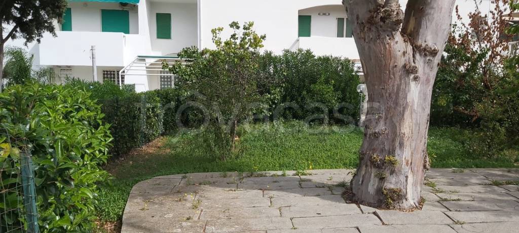 immagine annuncio 10 di 13