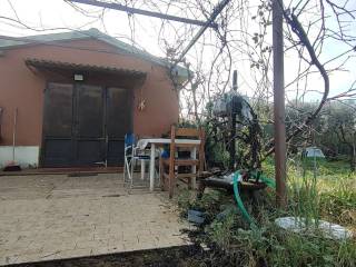 Terreno agricolo in vendita a san vincenzo via dell'agricoltura biologica s.n.c.