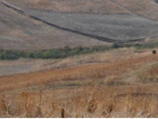 Terreno agricolo in vendita a campofelice di fitalia località volparello