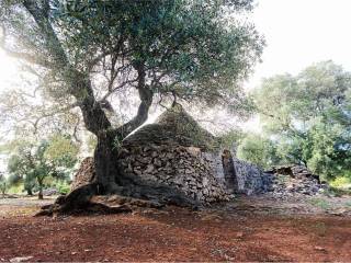 Rustico in vendita a ceglie messapica 