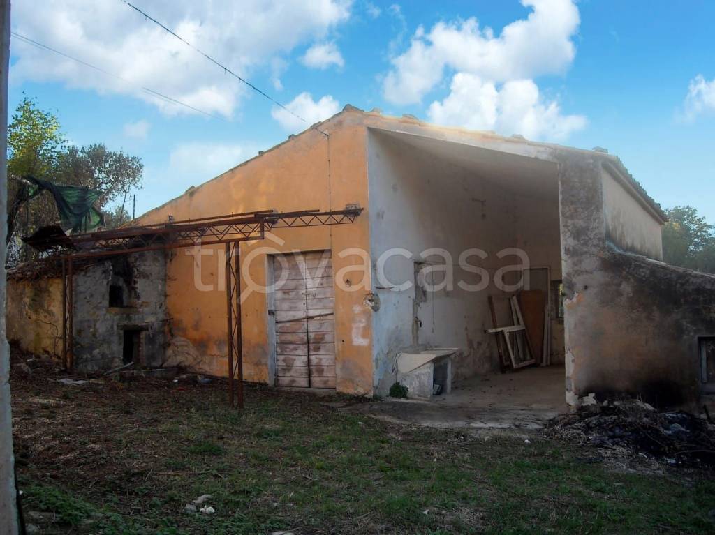 immagine annuncio 2 di 13