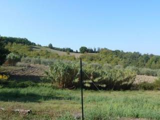 Terreno agricolo in vendita a castelnuovo di val di cecina leccia