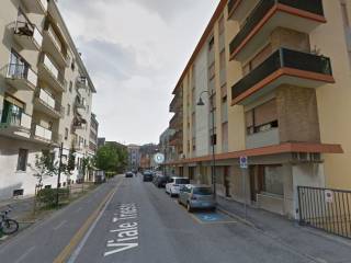 Appartamento in affitto a rovigo viale trieste