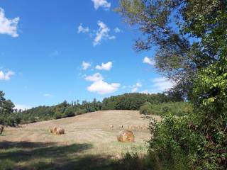 Terreno agricolo in vendita a sorano strada provinciale pitigliano-santa fiora