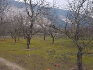 Terreno residenziale in vendita a san felice a cancello 