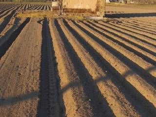 Terreno residenziale in vendita a nola via facente