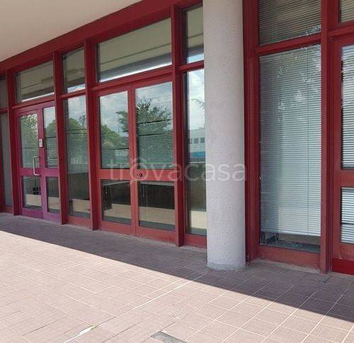 immagine annuncio 6 di 7