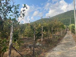 Terreno agricolo in vendita a roccarainola via veccio