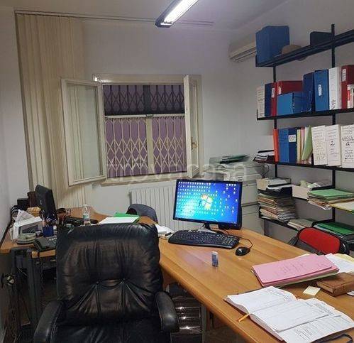 immagine annuncio 6 di 14
