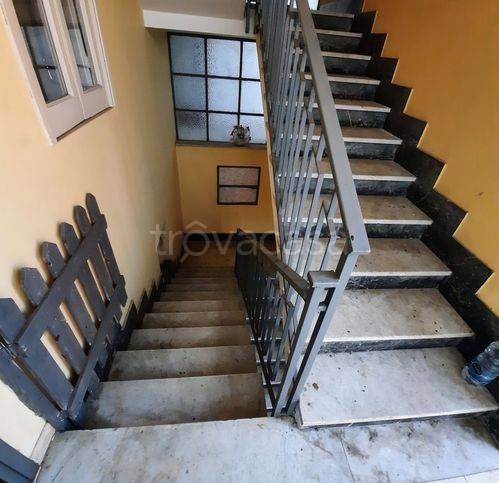 immagine annuncio 9 di 14