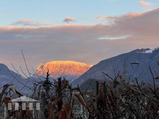 Ufficio in affitto ad appiano sulla strada del vino 