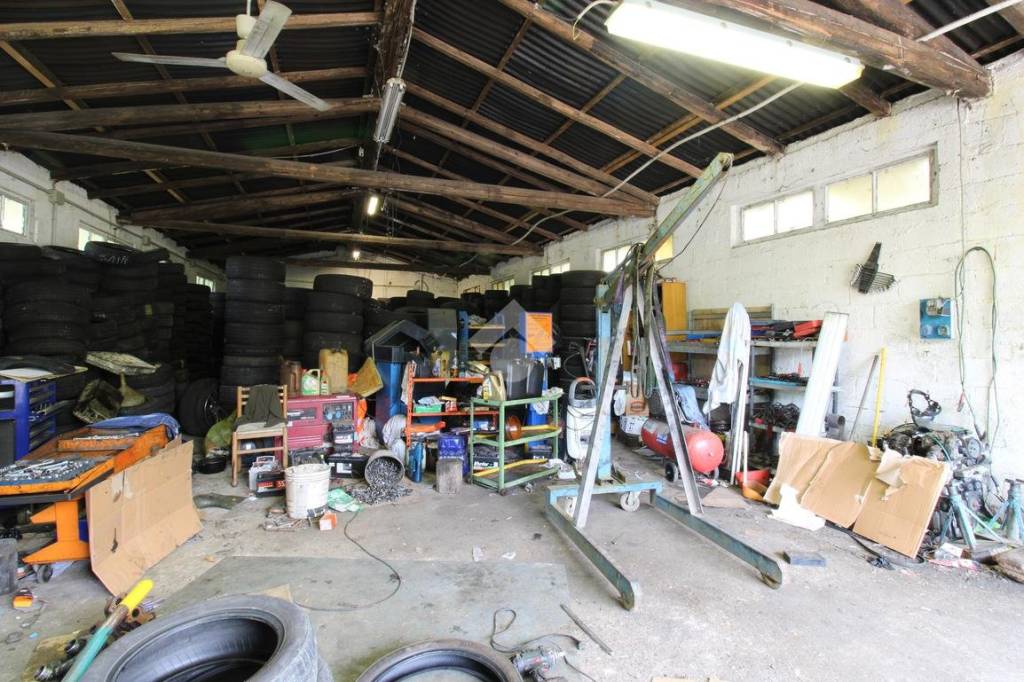 immagine annuncio 3 di 6