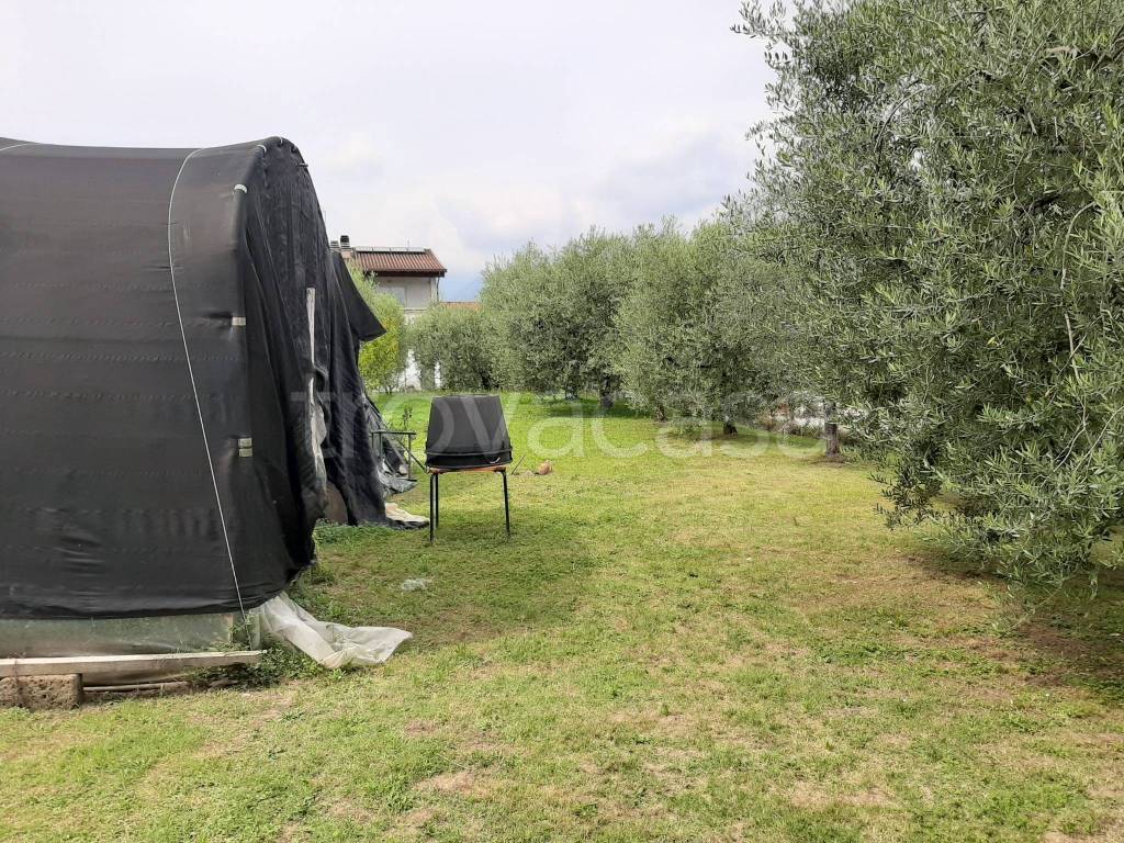 immagine annuncio 3 di 4
