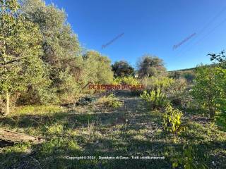 Terreno agricolo in vendita a casteldaccia via quattro finaite