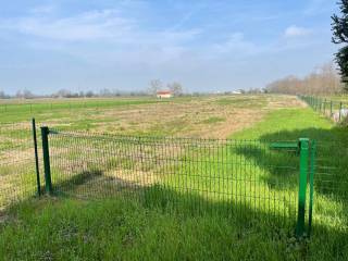 Terreno agricolo in affitto a concorezzo via pier paolo pasolini