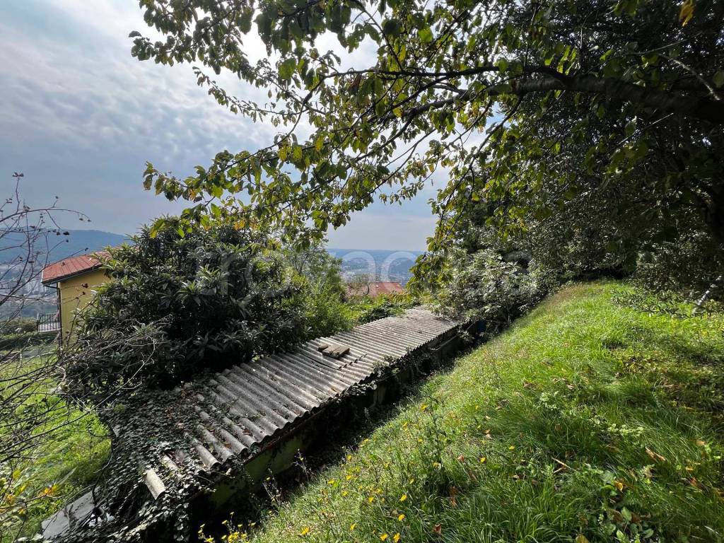 immagine annuncio 5 di 13