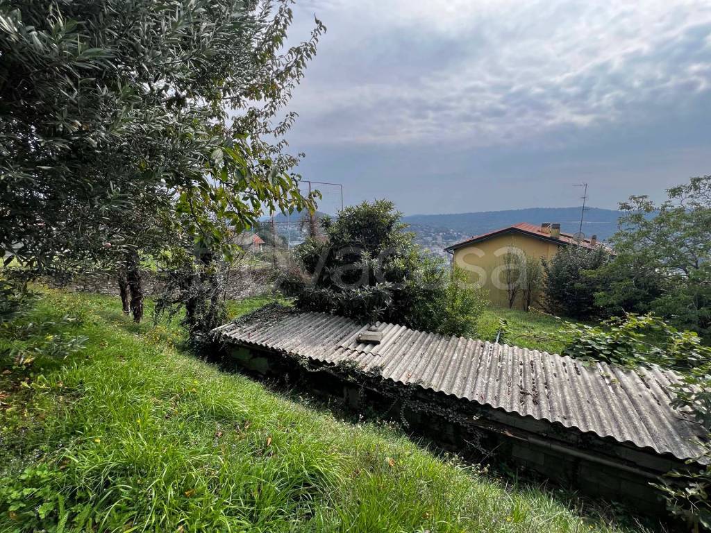 immagine annuncio 7 di 13