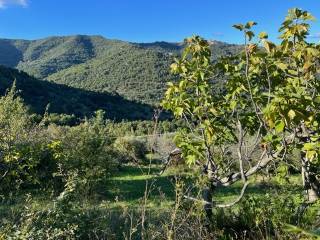 Terreno agricolo in vendita a sessa cilento 