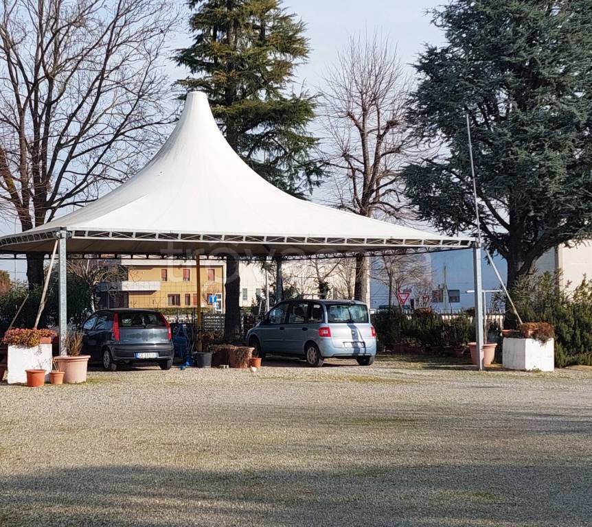 immagine annuncio 11 di 15
